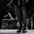 flamenco (110)